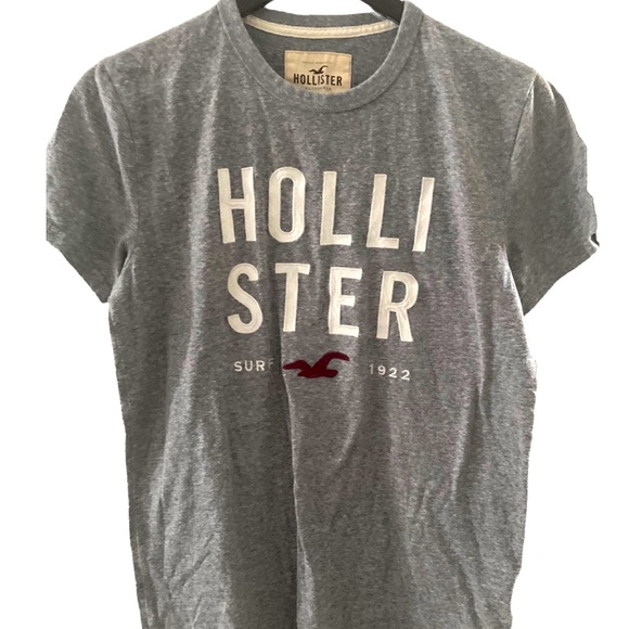 Hollister • Logo T-shirt • Grey • Men’s Size Small - Picture 1 of 3